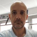 Luis Llopis Torres | Professor